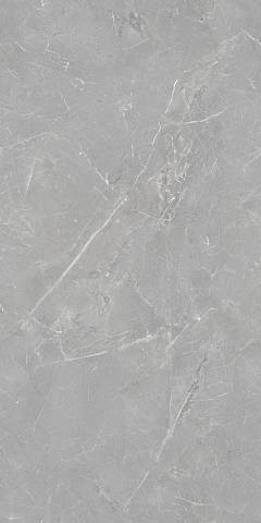 Керамогранит AC126205B  Fior di Bosco Silver Rectificado 600*1200*10